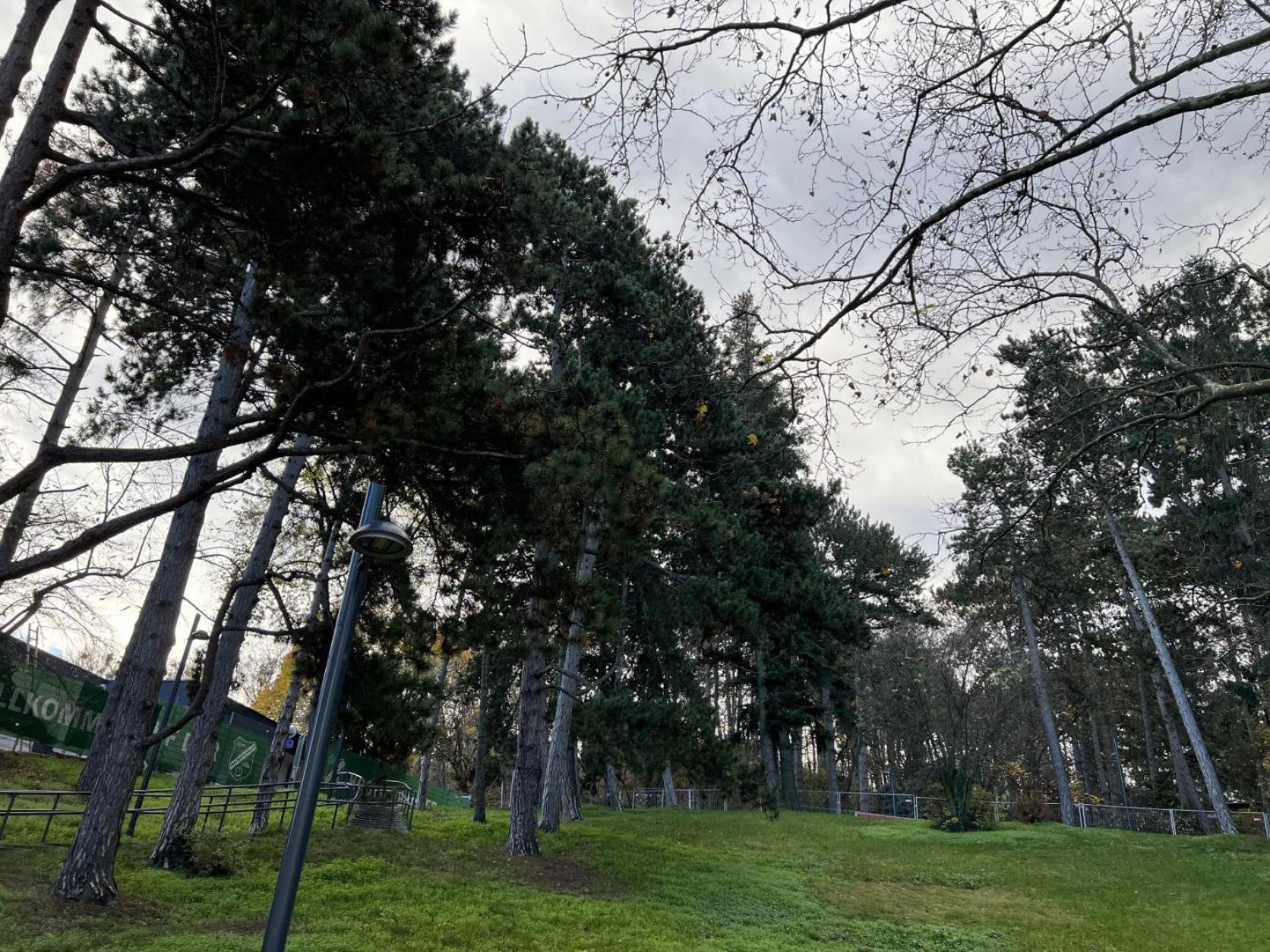 Loge Sollinger1190 Lägenhet Wien Exteriör bild